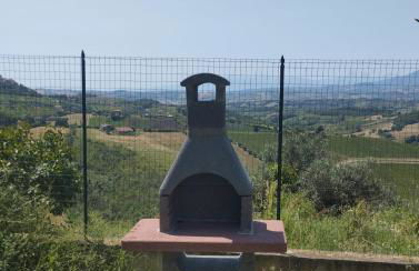 Palme e vigne - Foto 13