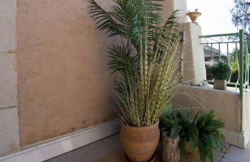 Old wine storehouse with terrace and garden - Foto 41