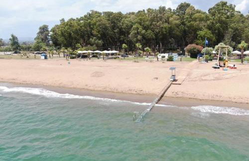 Phivos Home & Garden - Foto 37