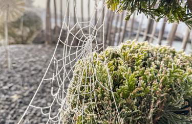 Ferienwohnung Ankerplatz - Foto 60