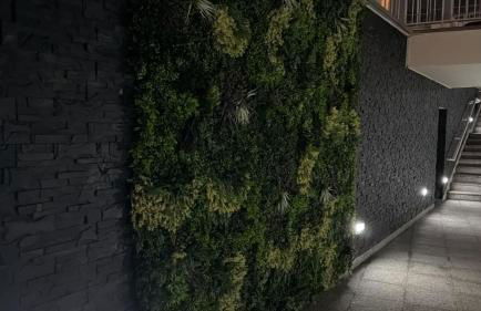 Vamos Tenerife - Playa La Arena - Puerto De Santiago - Foto 22