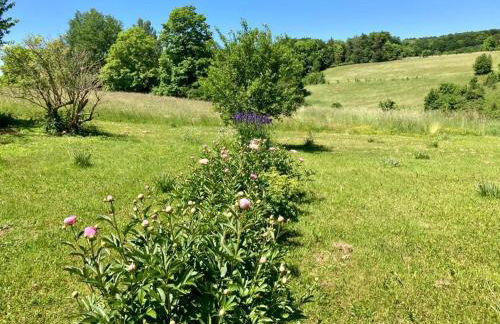 Forsthaus in Waldhessen - Foto 73