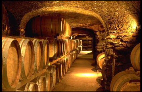 Charmant séjour au cœur des vignes de Banyuls - Foto 59