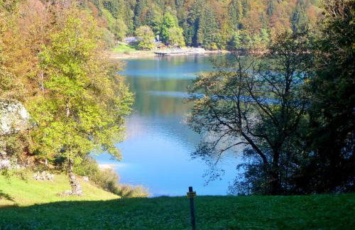 Ferienwohnung in Kempten am Stadtweiher - Foto 10