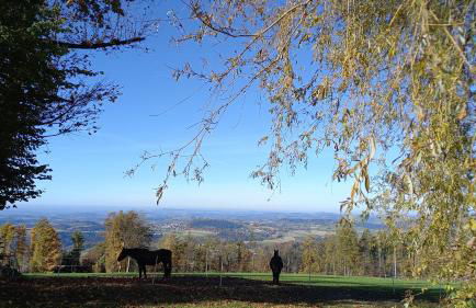 Berg-Panorama-Ferienwohnungen Gut-Lichtenau - Foto 25