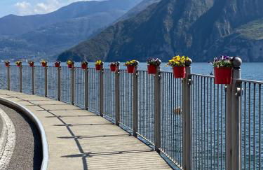 Alex's lake house - Foto 29