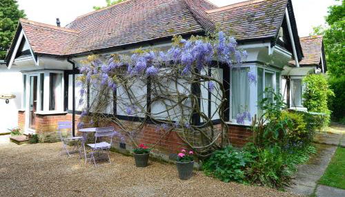 Pinewood Cottage Self Catering Apartments and studio apartments - Photo 5