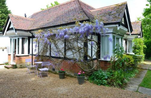 Pinewood Cottage Self Catering Apartments and studio apartments - Photo 5