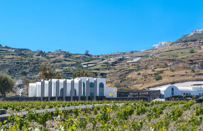 Servizio con autista: Autista + Auto – Servizio privato di 4 ore - Foto 4