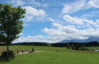 Panek, Haus - Foto 31