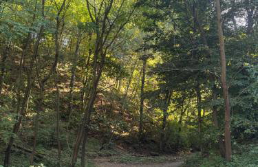 Rokova Dolina - Foto 6