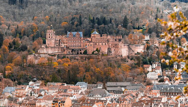 Heidelberg and Mannheim Tour from Frankfurt with Free Photoshoot - Photo 5