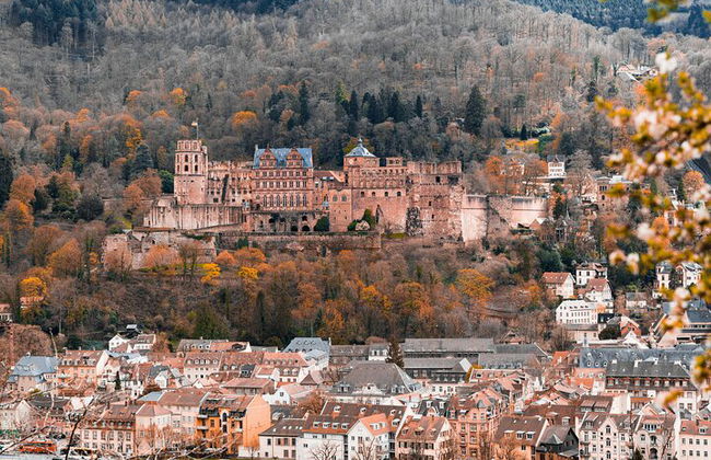 Heidelberg and Mannheim Tour from Frankfurt with Free Photoshoot - Photo 5