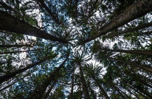 Baita dei Colori - Foto 20