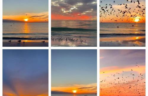 Ferienhaus Laura 70qm bis 5 Gäste mit Fass-Sauna, Whirlpool April bis Oktober, 75qm Terrasse und eingezäunten Garten Haustiere willkommen - Photo 62