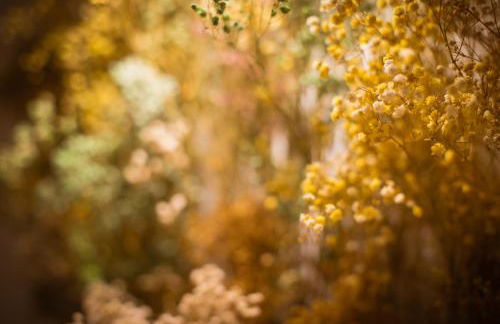 K-PROA by Nuka Homes - Foto 21