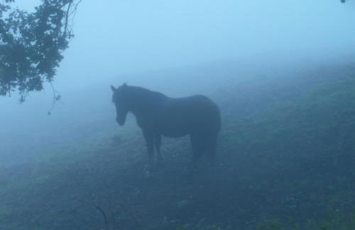 Etxeberri Landa Etxea - Foto 19