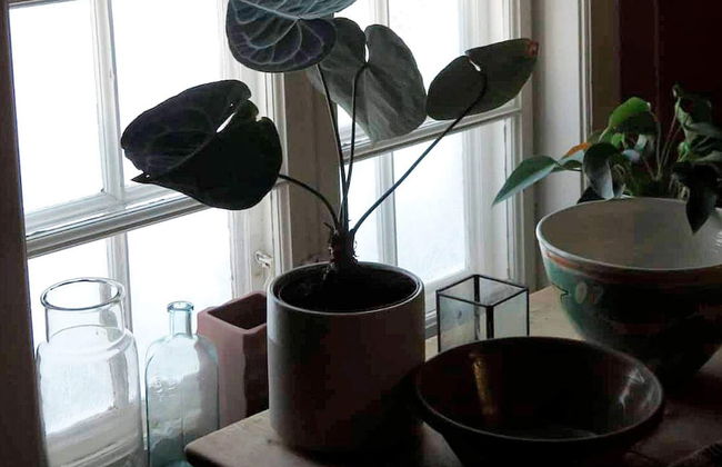 5 Person Holiday Home in Lomen-by Traum - Foto 10