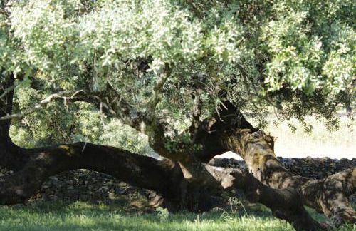 Casa Rural El Tejar - Foto 21