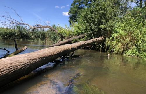 Agroturystyka Siedlisko - Foto 29