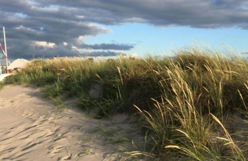 Holiday apartment 2 in the Maaßen country house - Foto 23