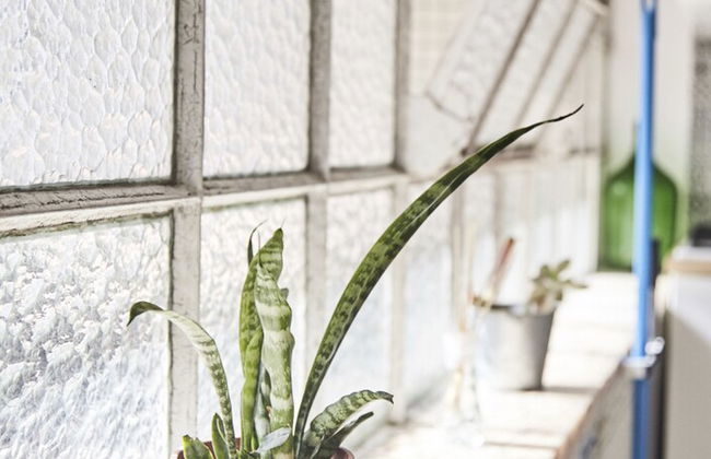 Two Bedroom Self Contained House - Photo 52