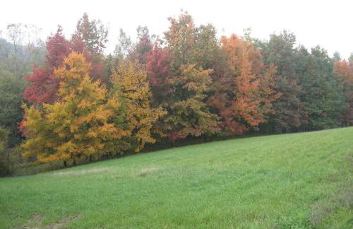 Agriturismo Cascina Tollu - Foto 21