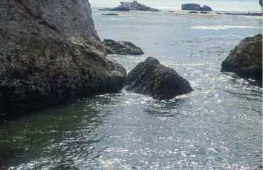 Tranquil Oaks Retreat - Foto 28