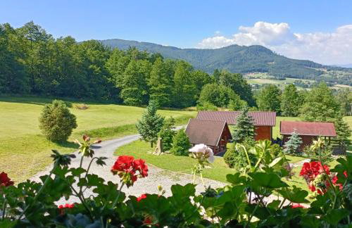 Górska Hacjenda - Foto 2