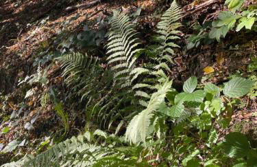 Wioska Jasia i Małgosi - Foto 37