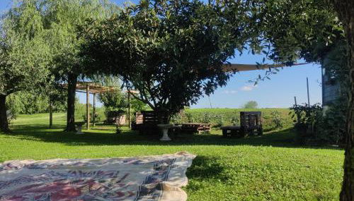 Villa Serena, secret garden - 7 min Noventa Outlet - Foto 4, Garden, Garden view