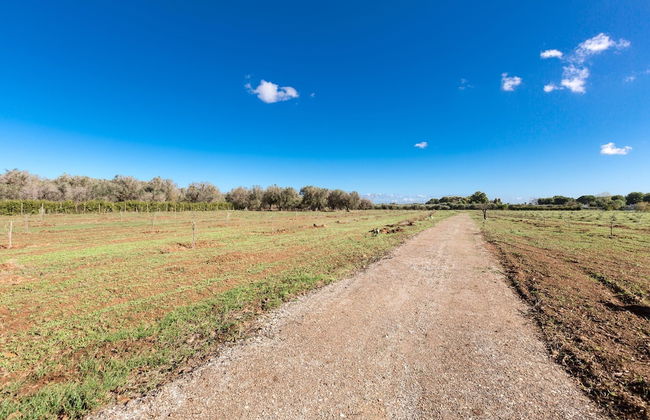 3675 Dimora Seculari by Perle di Puglia - Foto 35