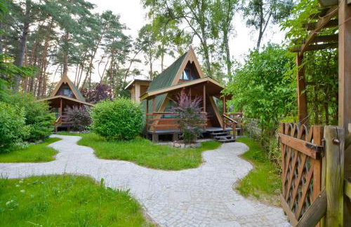 Ośrodek Wypoczynkowy Puszczyk Wolnostojące Domki Sosnowe z zadaszonym tarasem - Foto 1
