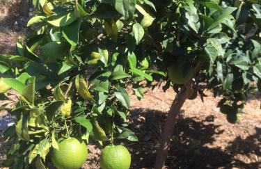 Villa Christina Anidri - Foto 45