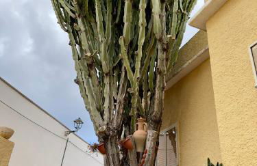 Casa Euphorbia - Foto 24