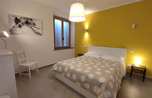 Il glicine - Primula - Foto 1