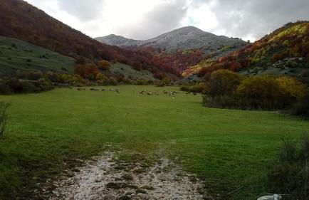 Al Peschio Pizzuto Agriturismo - Foto 31