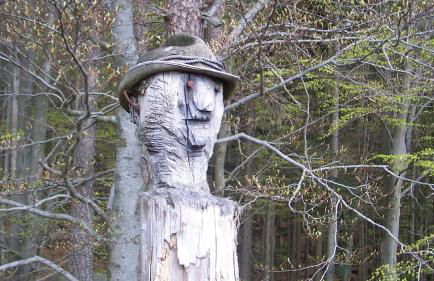 Ferienhaus Zillendorf - Foto 44