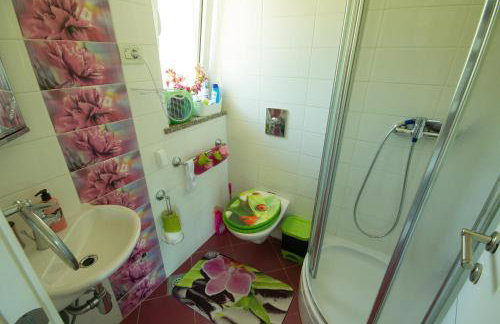 Villa Dinka VIP apartmani - Foto 58