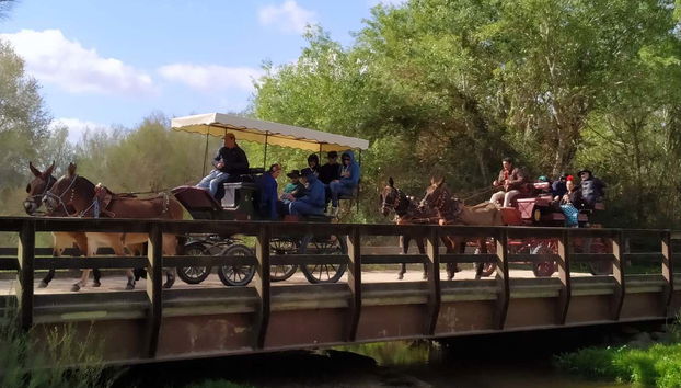 Tour in Almonte - Photo 2