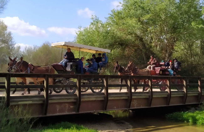 Tour in Almonte - Photo 2