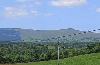 Butterflies Rest - Foto 41