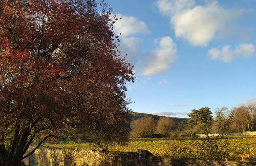Le Clos du Château - Foto 6