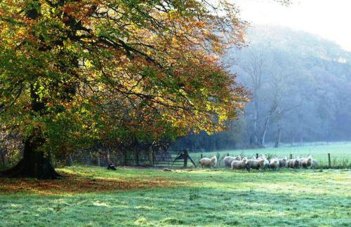 Kestrel Farmhouse - Foto 18