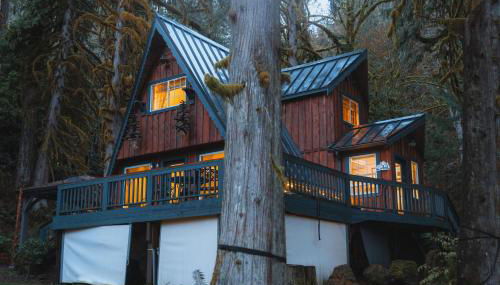 Secluded Forest Cabin with Hot Tub and Private Waterfall - Foto 3