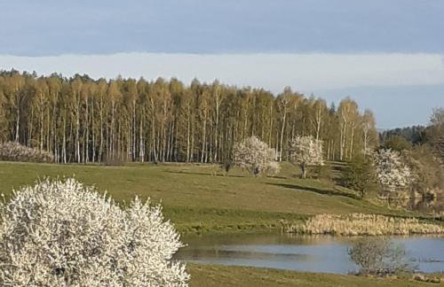 Marcinowa Zagroda - Foto 3