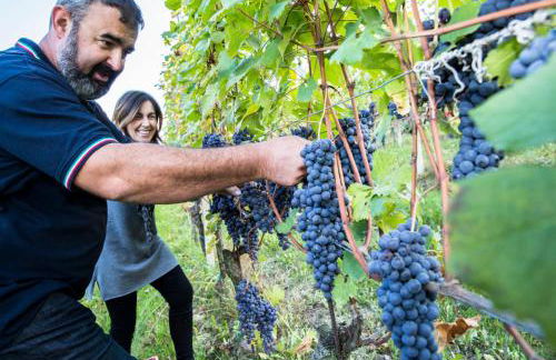 Costa Catterina B&B - Foto 9