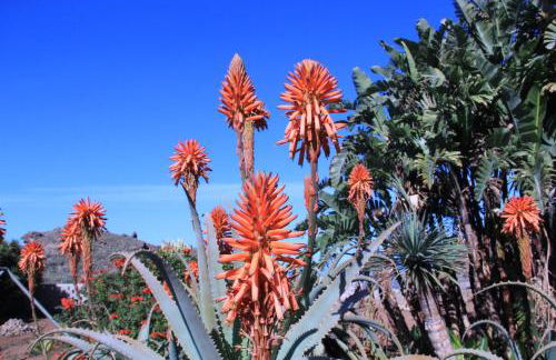 Finca La Punta - Foto 70