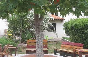 Sunny Studio - Foto 9