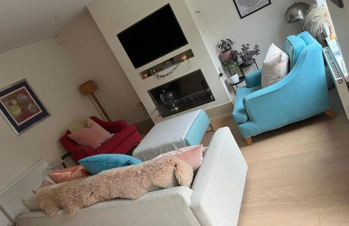 Bright, modern & close to historic town - Photo 4